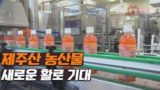 제주산 농산물 새로운 활로 기대 / JIBS / 제주