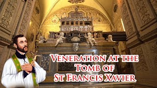 🙏🙏Veneration at the Tomb of St Francis Xavier 🙏  Basilica of Bom Jesus - 31 Jan 2025 #oldgoachurch