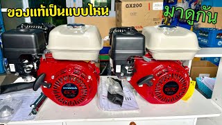 รีวิวการดูของแท้ Honda GX160 และ Honda GX200