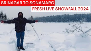 Sonamarg Kashmir Today Live | Fresh Snowfall | Kashmir Srinagar To Sonamarg | Fresh Snowfall