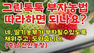 [딸기농부혁신학교250201]딸기농부 그린톡톡 부자농법 따라하면 되나요?