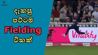 සුපිරිම Fielding ටිකක් 😊