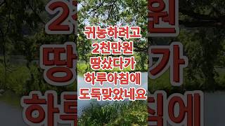 2천만원 시골 땅을 하루만에 도둑맞은 남자 #고민#상담#사연