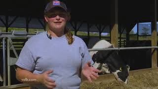 Botetourt County Agricultural Close up
