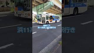 相鉄バス浜11系統上星川駅行き