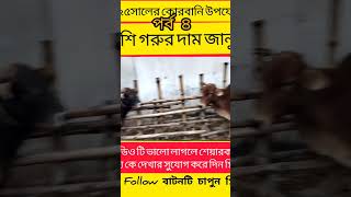 ২০২৫সালের কোরবানি উপযোগী দেশি গরুর দাম জানুন। #গরুর #cow #cows #farming #animals #agriculture #গরু