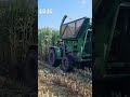 Napier grass cutting by tractor mountain harvester