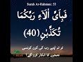 So which of the favors of your Lord would you deny? Ar-Rahman:55, Verse:40 #short #rahman #shorts