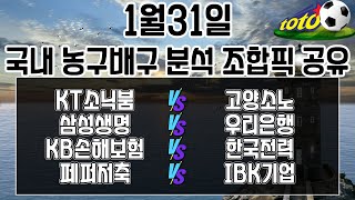 토토분석 스포츠분석 프로토분석 1월31일 국내경기분석 최종조합