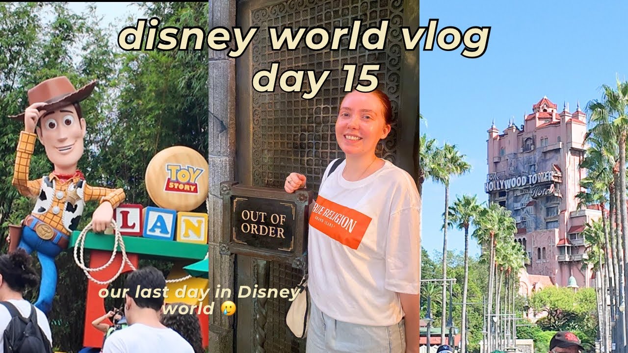 Disney World Vlog Hollywood Studios Epcot Food Wine Festival Day