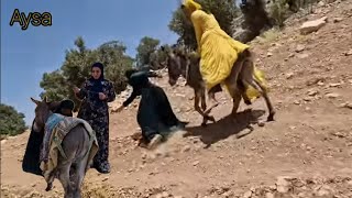 A nomadic girl riding a donkey without a saddle