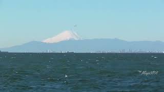 Mt.Fuji over the ocean with Japanese shamisen instrumental BGM