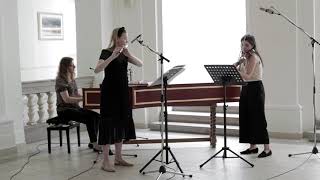 tacet ensemble | C.P.E. Bach: Trio sonata in d minor, WQ.145