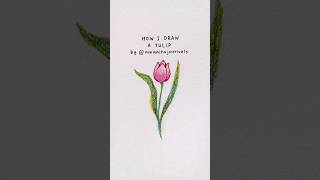 🌷 𝙷𝚘𝚠 𝙸 𝚍𝚛𝚊𝚠 𝚊 𝚃𝚞𝚕𝚒𝚙 🌷 #colorpencil #tutorial #drawing #drawwithme #tulips #tulip #drawingtutorial