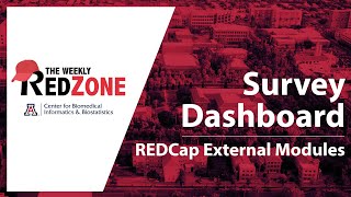 REDZone - Survey Dashboard