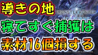 【MHW:IB】寝たら捕獲は間違い⁉ぶっ飛ばしループで落とし物大量入手方法！【モンスターハンターワールドアイスボーン】