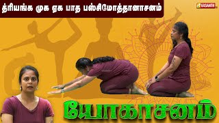 த்ரியங்க முக ஏக பாத பஸ்சிமோத்தானாசனம் | Dhinam Oru Yoga | Vasanth TV