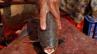 1Kg Giant Rohu Fish Cutting  Live In Fish Market Bangladesh | Fish Cutting Skills