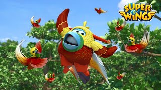 [Superwings1] Feathered Friends | EP22 | New Episodes Cartoon | Dutch Superwings