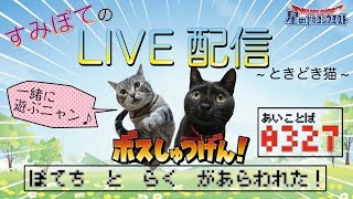 ☆星ドラ☆ライブ配信　ときどき猫　7/13