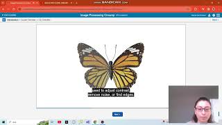 Image Processing Onramp-Introduction