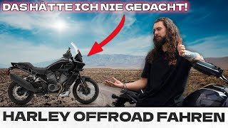 IST DAS NOCH HARLEY DAVIDSON?! | OFFROAD MIT DER PAN AMERICA