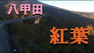 【青森県】八甲田の紅葉　2020