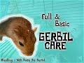 Basic & Full GERBIL CARE Basic & Full GERBIL CARE