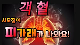 객혈!  피가래가 나와요? 양치하면서, 가래를 뱉을 때 피가래가 나오셨던 분들 보세요.