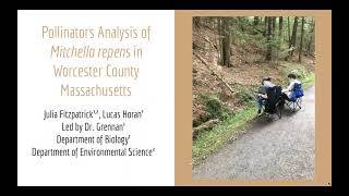 Pollinators Analysis of Mitchella repens in Worcester County Massachusetts