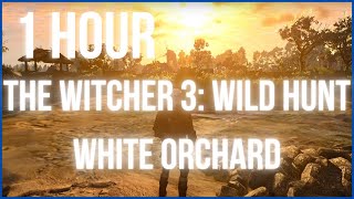 [ 1 HOUR ] The Witcher 3: Wild Hunt - WHITE ORCHARD/Weißgarten Ambience & Music [Relax/Study/Sleep]