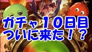 【グラブル】無料ガチャ１０日目：ついにガチャピン様の加護が・・？