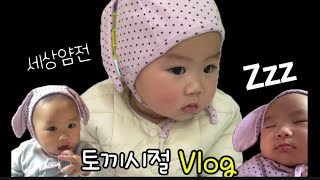 육아VLOG | 아기 토끼시절때