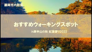 美松運送　おすすめウォーキングスポット　庚申山の秋便り　ILOVE藤岡市　健康経営優良法人　物流業　運送業　倉庫業　ドライバー募集