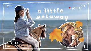 【Autumn Getaway Vlog】秋天日记| 小马🐴Cookie带我赏枫叶|跟小松鼠🐿的亲密接触|他来做🍅番茄牛腩