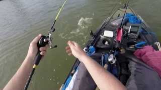 Spro crankbait February Georgia kayak fishing