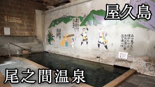 【尾之間温泉】忘れられない温泉、49℃の激熱温泉が足元から自墳する（屋久島）