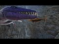 brachauchenius vs moded ark creatures battle mosah megalodon shoni mosajw tuso tylo lio opthal ...