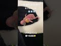 セキセイインコ雛©︎😁　成長記録🤍　可愛いねー　可愛いねー　大きくなってね😊　 セキセイインコ雛 セキセイインコ インコしか勝たん