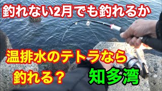 釣れない2月の温排水のテトラ穴釣り 知多湾の根魚 知多半島