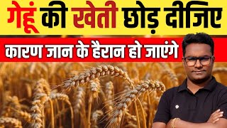 अब गेहूं की खेती करना छोड़ देंगे Say Goodbye to Wheat Embrace Horticulture: Double Your Profits