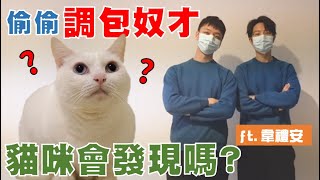 【豆漿實測】如果奴才被調包 貓咪會發現嗎？ ft.韋禮安