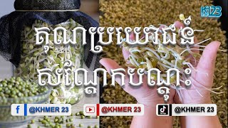 គុណប្រយោជន៍សណ្ដែកបណ្ដុះ | Beans | Healthy | News Health