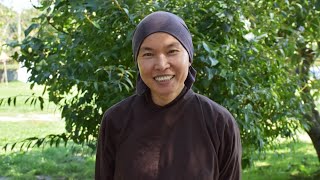 Mindfulness, Concentration, \u0026 Insight | Live Dharma Talk by Sr. Tuệ Nghiêm, 2020 11 29, Plum Village