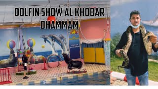 Dolfin show Al khobar Dhammam part-2|| Saudi Arabia||SS40