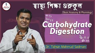 Anatomy \u0026 Physiology, Carbohydrate Digestion- কার্বোহাইড্রেট পরিপাক বা হজম। স্বাস্থ্য শিক্ষা গুরুকুল