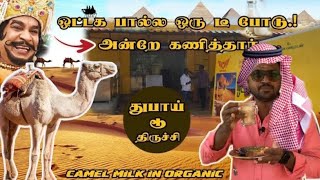 ஒட்டக பால்ல ஒரு டீ போடு.! - அன்றே கணித்தார் ...