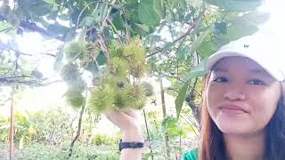 A tour in DA- ATI RTC 13 Butuan City | Vlog