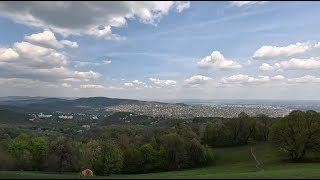 TetraTrip, Megint túltoltam a hetet 3. rész, erdőt láttam Normafán jártam