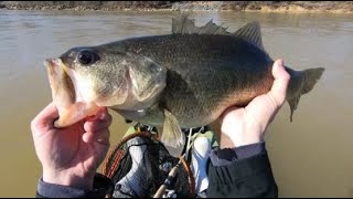 My first two fish ever on a bright red/orange crankbait.(Bomber Lures Deep Flat A)